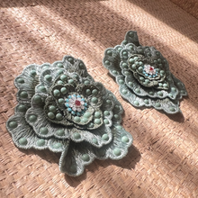 Load image into Gallery viewer, ECHEVERIA