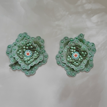 Load image into Gallery viewer, ECHEVERIA