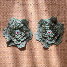 Load image into Gallery viewer, ECHEVERIA
